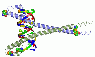 Image Biol.Unit 1 - manually