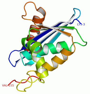 Image Asym./Biol. Unit - manually