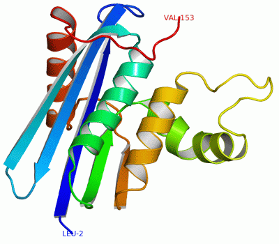 Image Asym./Biol. Unit - manually