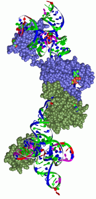 Image Asym./Biol. Unit - manually