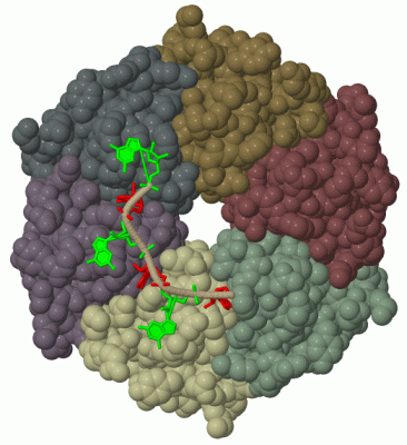 Image Biol.Unit 1 - manually