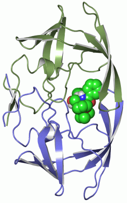 Image Asym./Biol. Unit - manually