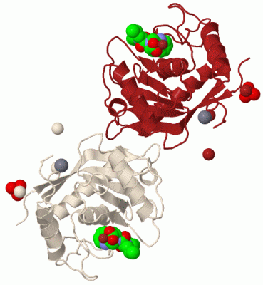 Image Biol.Unit 1 - manually