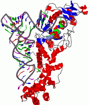 Image Biol.Unit 1 - manually