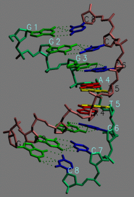 Image Asym./Biol. Unit - manually