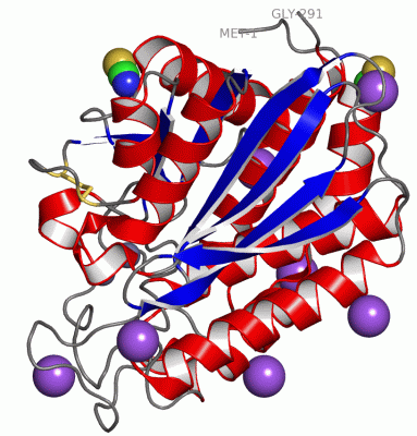 Image Asym./Biol. Unit - manually