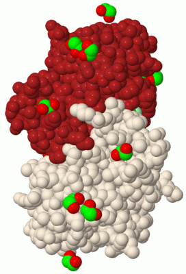 Image Biol.Unit 1 - manually