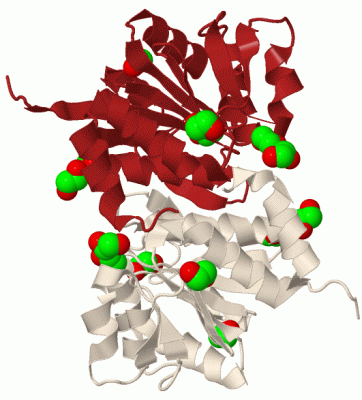 Image Biol.Unit 1 - manually