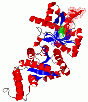 Image Biol.Unit 1 - manually