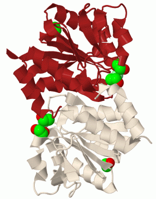 Image Biol.Unit 1 - manually