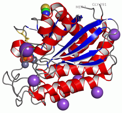 Image Asym./Biol. Unit - manually