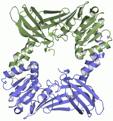 Image Asym./Biol. Unit - manually