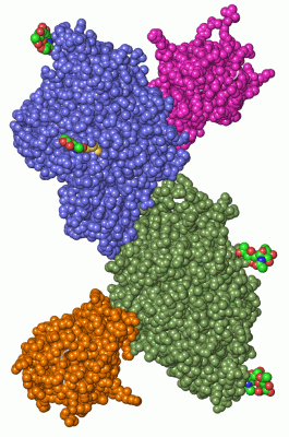 Image Asym./Biol. Unit - manually