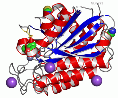 Image Asym./Biol. Unit - manually