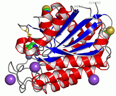 Image Asym./Biol. Unit - manually