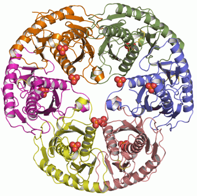 Image Asym./Biol. Unit - manually