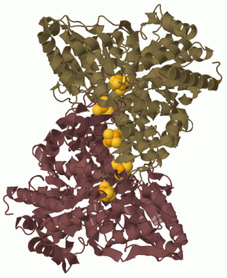 Image Biol.Unit 1 - manually