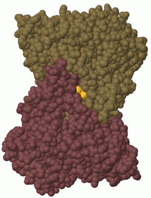 Image Biol.Unit 1 - manually