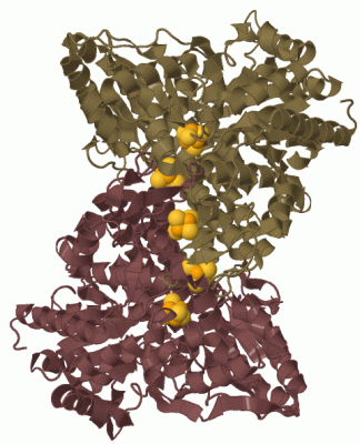 Image Biol.Unit 1 - manually