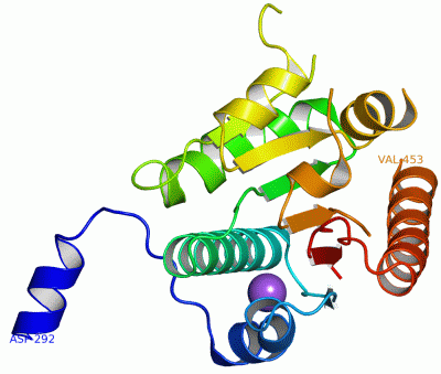 Image Asym./Biol. Unit - manually