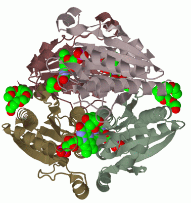 Image Biol.Unit 1 - manually