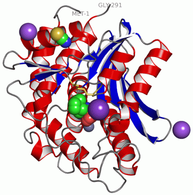 Image Asym./Biol. Unit - manually