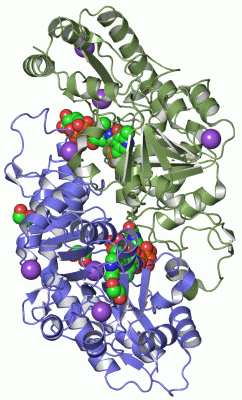 Image Asym./Biol. Unit - manually