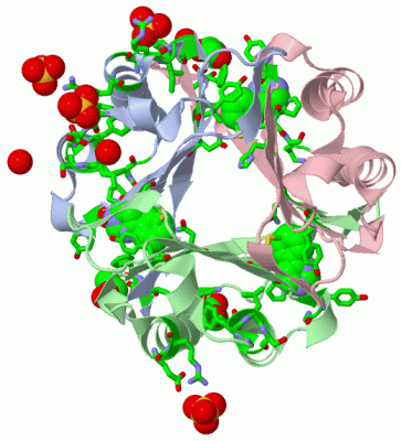 Image Asym./Biol. Unit - manually