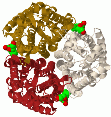 Image Biol.Unit 1 - manually