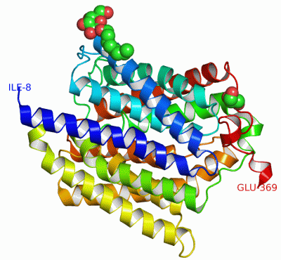 Image Asym.Unit - manually