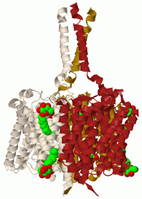Image Biol.Unit 1 - manually