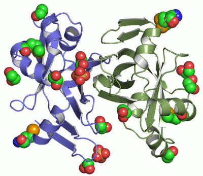 Image Asym./Biol. Unit - manually