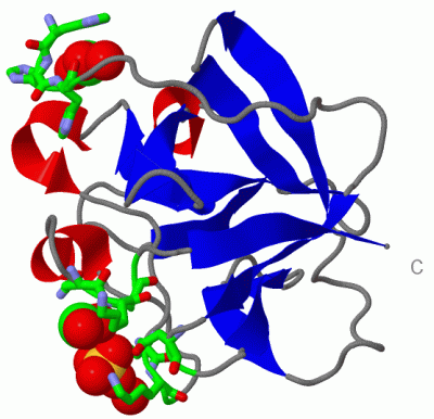 Image Biol.Unit 1 - manually