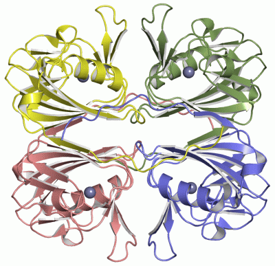 Image Asym./Biol. Unit - manually