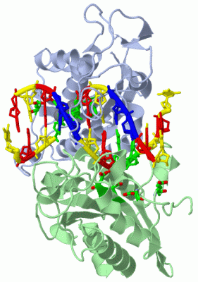 Image Asym./Biol. Unit - manually