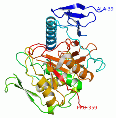 Image Asym./Biol. Unit - manually
