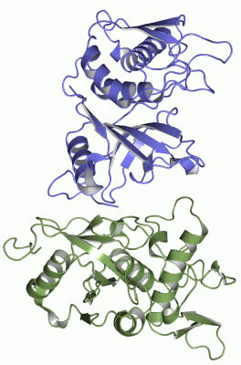 Image Asym.Unit - manually