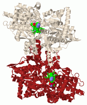 Image Biol.Unit 1 - manually