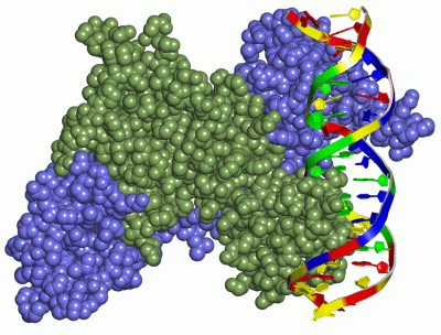 Image Asym./Biol. Unit - manually