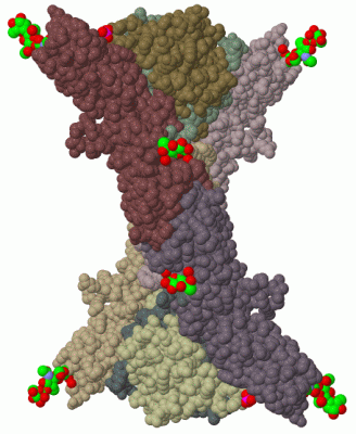 Image Biol.Unit 1 - manually