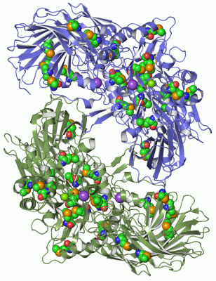 Image Asym./Biol. Unit - manually