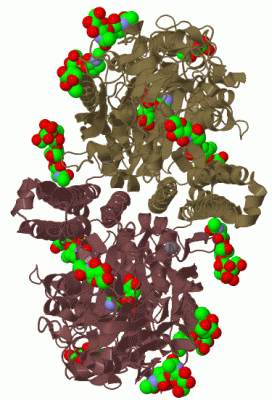 Image Biol.Unit 1 - manually