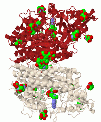 Image Biol.Unit 1 - manually