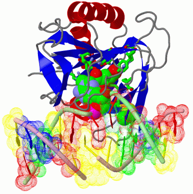 Image Asym./Biol. Unit - manually