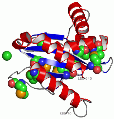 Image Asym./Biol. Unit - manually