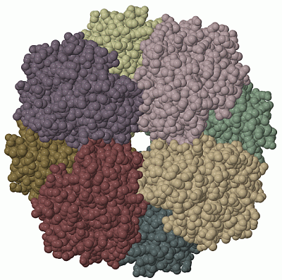 Image Biol.Unit 1 - manually