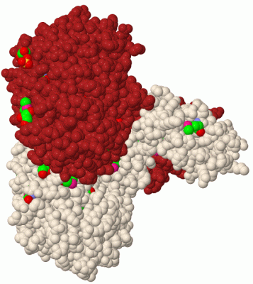 Image Biol.Unit 1 - manually