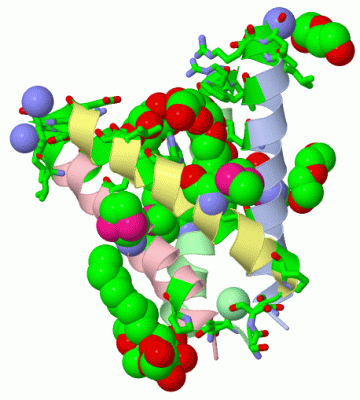 Image Biol.Unit 1 - manually