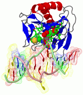 Image Asym./Biol. Unit - manually