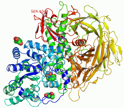 Image Asym./Biol. Unit - manually